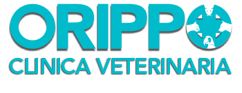 Clinica Veterinaria Orippo